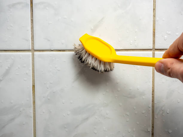 Best Mold Removal Process  in Nth Bend, OR
