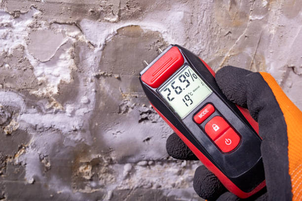 Best Fast Mold Removal  in Nth Bend, OR
