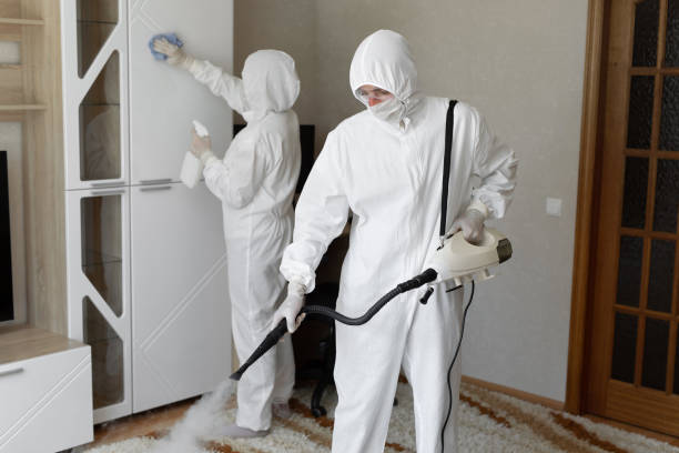 Best Commercial Mold Removal  in Nth Bend, OR