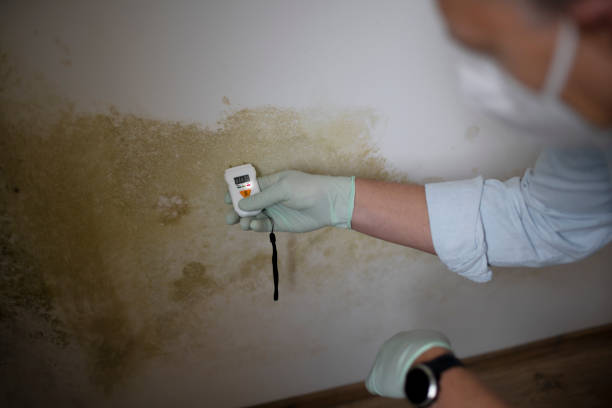 Best Crawl Space Mold Removal  in Nth Bend, OR