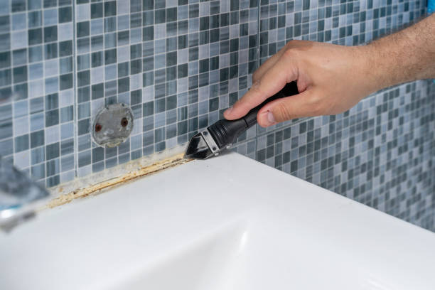 Best Toxic Mold Removal  in Nth Bend, OR