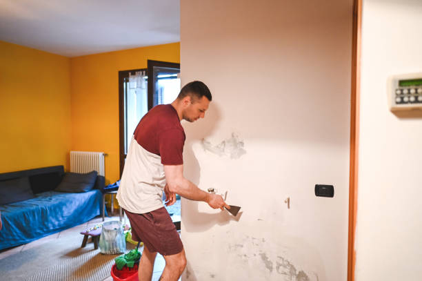 Best Local Mold Removal Service  in Nth Bend, OR