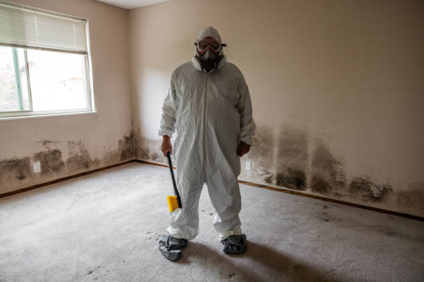 Certified Mold Removal in North Bend, OR